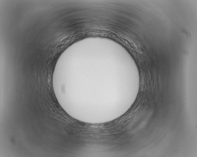 X0000115651013200912081120