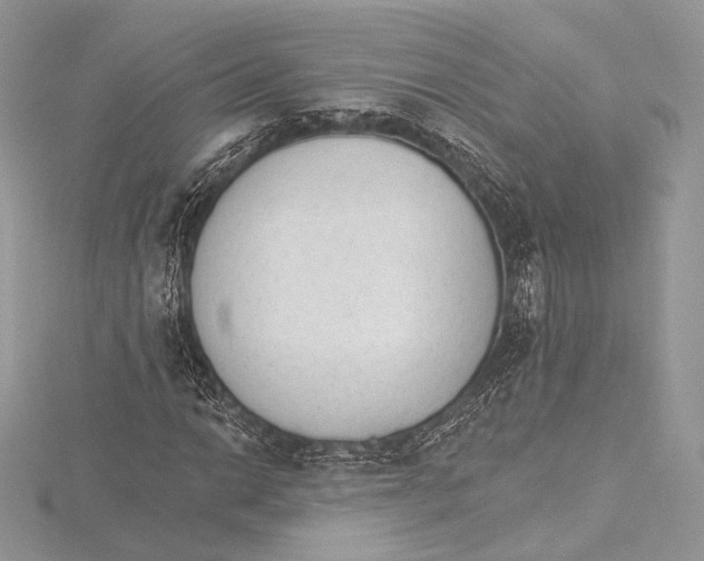 X0000115651014200912081120