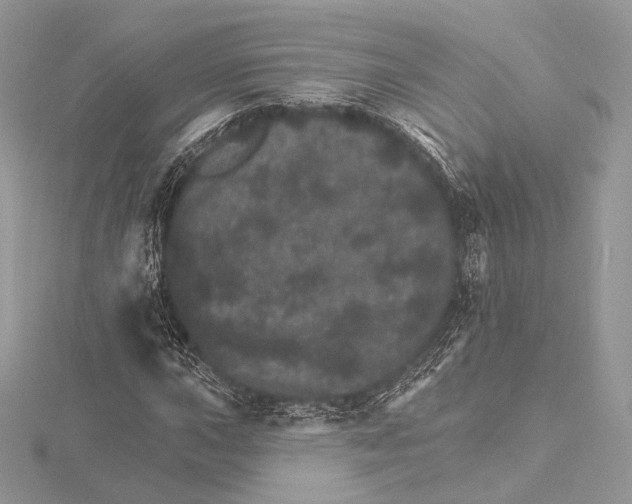 X0000115651015200912081120