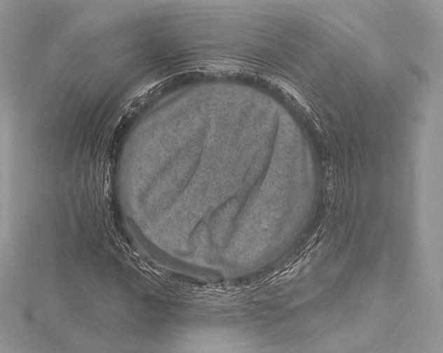 X0000115651016200912081120