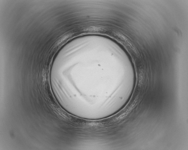 X0000115651017200912081120