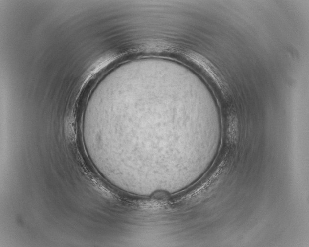 X0000115651018200912081120