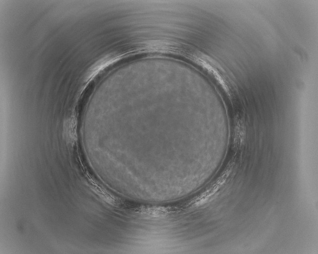 X0000115651019200912081120