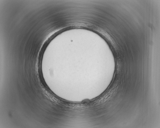 X0000115651020200912081120