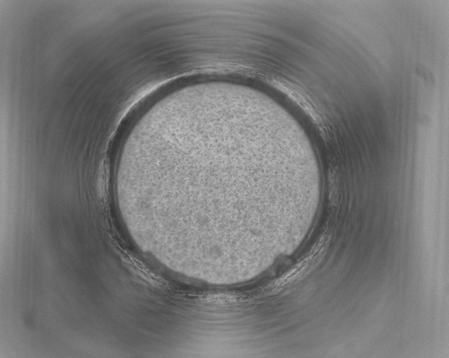 X0000115651021200912081120