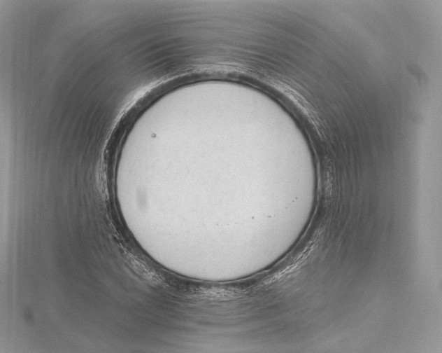 X0000115651022200912081121