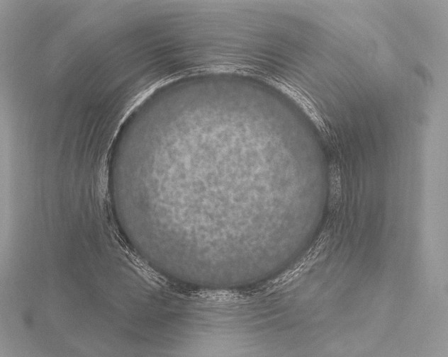 X0000115651023200912081121