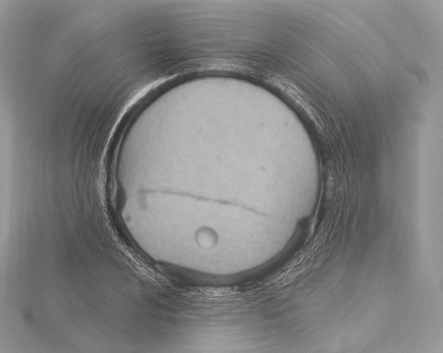 X0000115651024200912081121