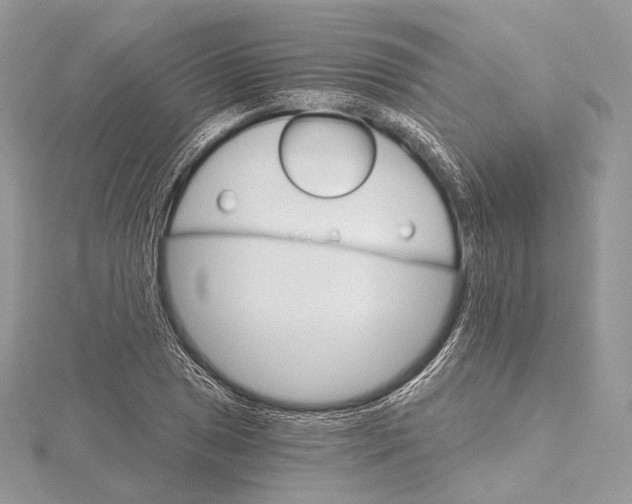 X0000115651025200912081121