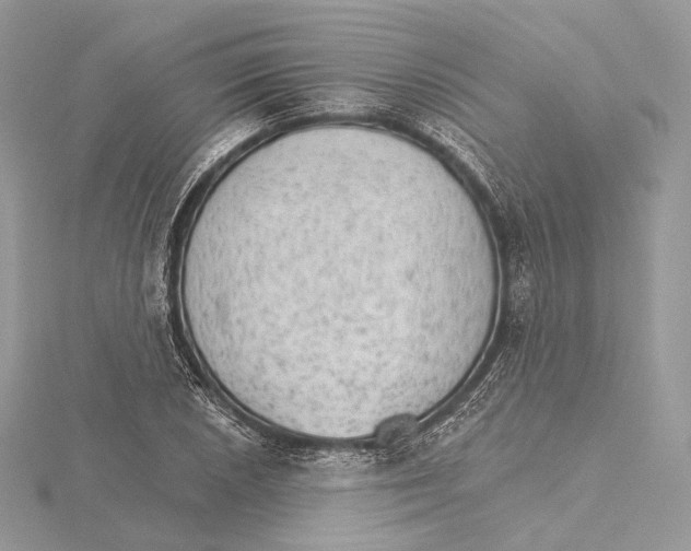 X0000115651026200912081121