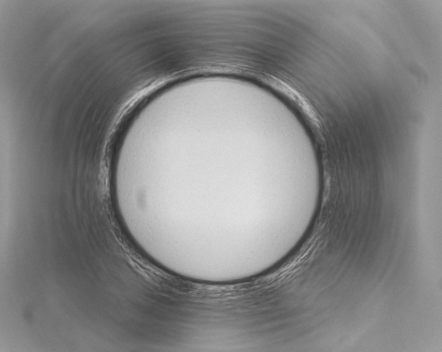 X0000115651027200912081121