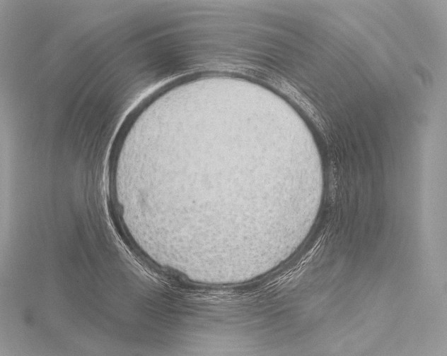 X0000115651028200912081121