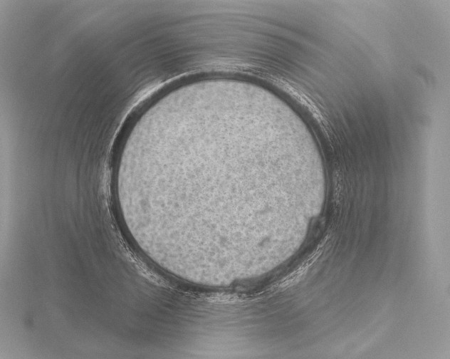 X0000115651029200912081121