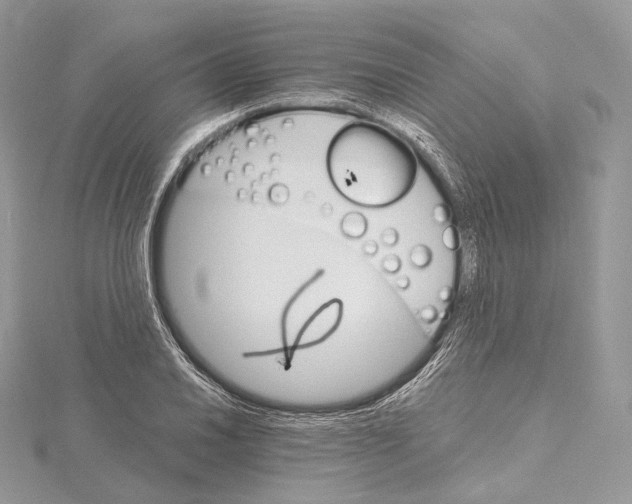 X0000115651030200912081121