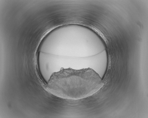 X0000115651031200912081121