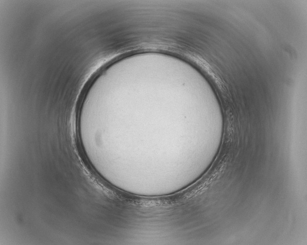 X0000115651032200912081121