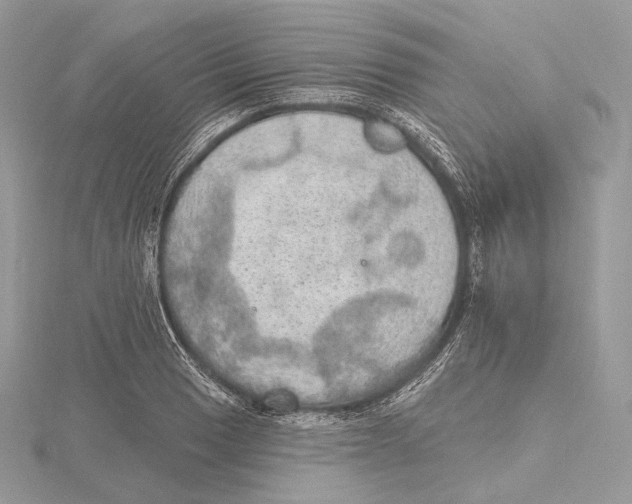 X0000115651033200912081121