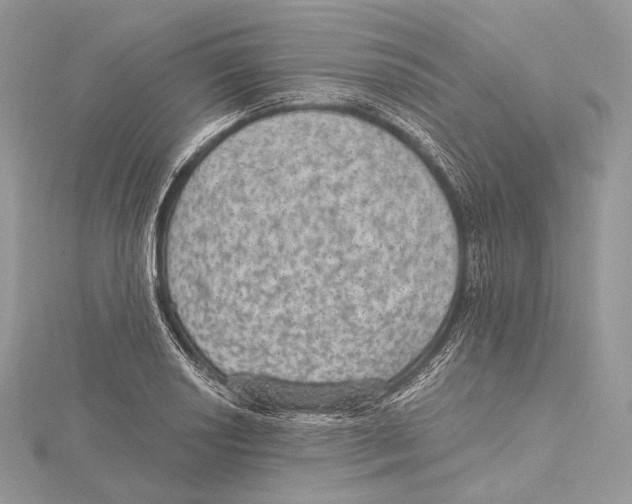 X0000115651034200912081121