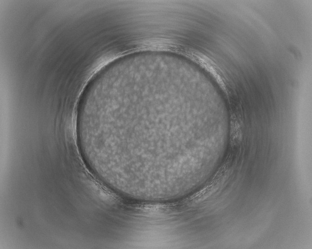 X0000115651035200912081121