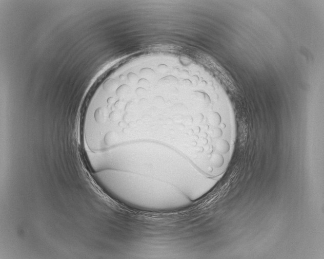 X0000115651036200912081121