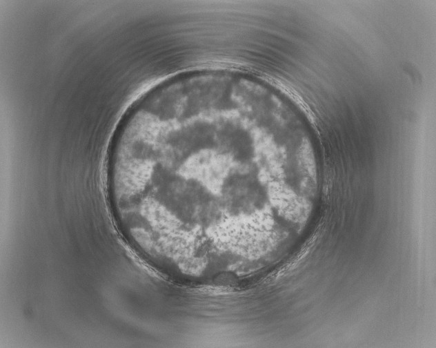 X0000115651037200912081121