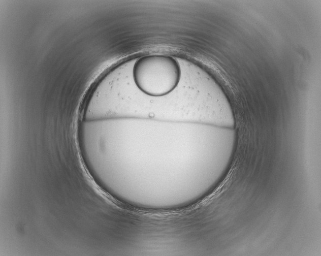 X0000115651038200912081121