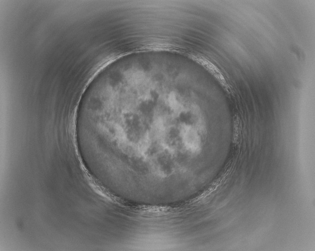 X0000115651039200912081121