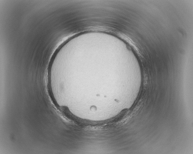 X0000115651040200912081121