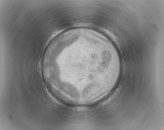 X0000115651041200912081121