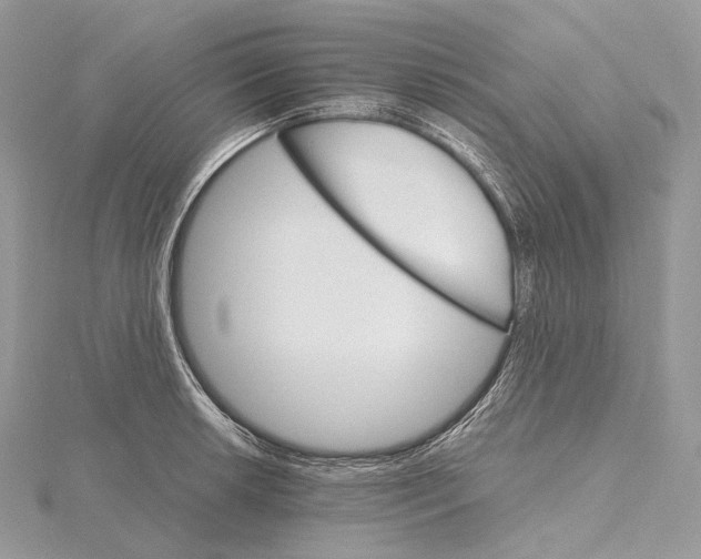 X0000115651042200912081121