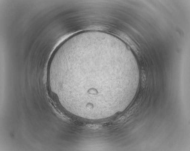 X0000115651044200912081121