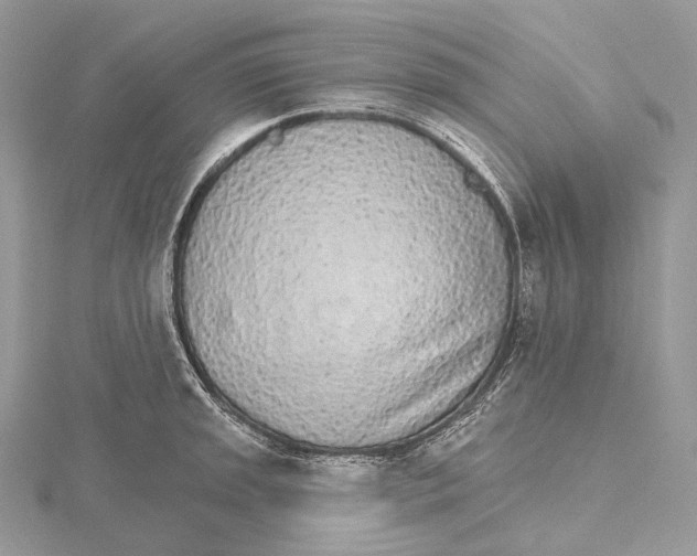 X0000115651045200912081121