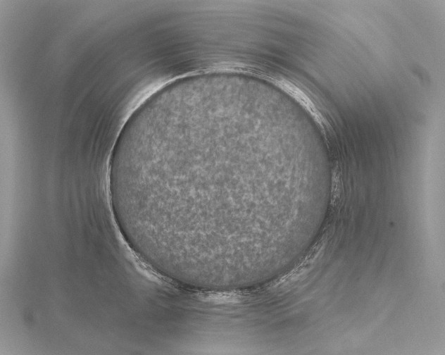 X0000115651047200912081121