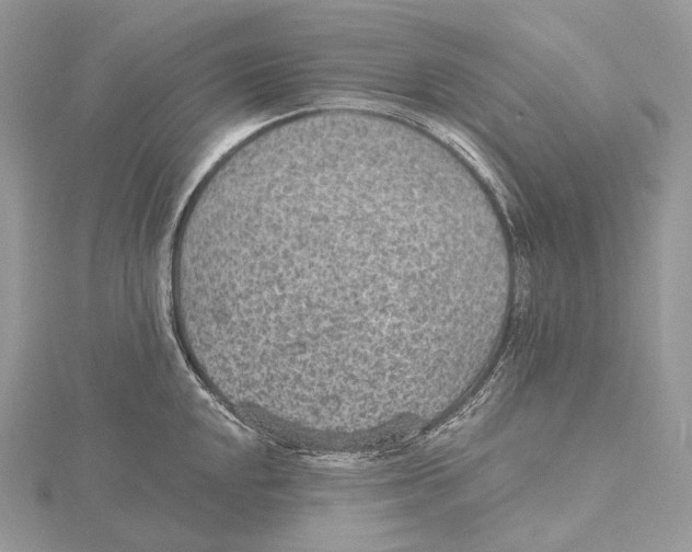 X0000115651048200912081121