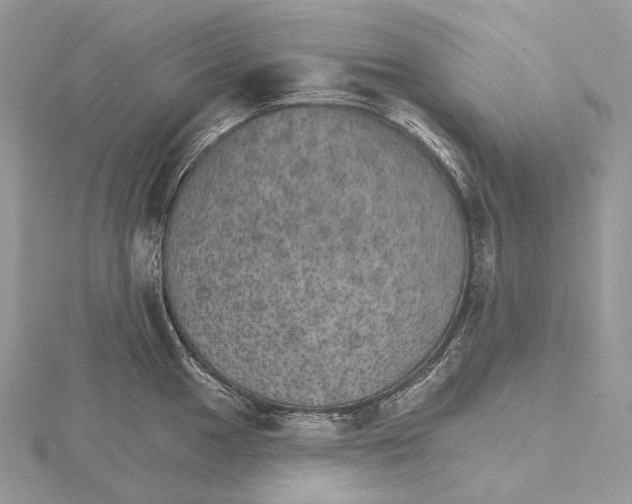 X0000115651049200912081121