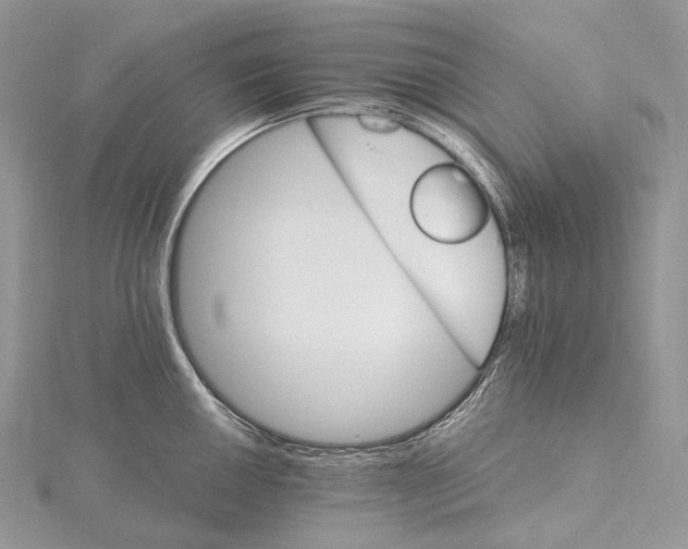 X0000115651050200912081121