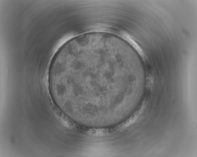 X0000115651051200912081121