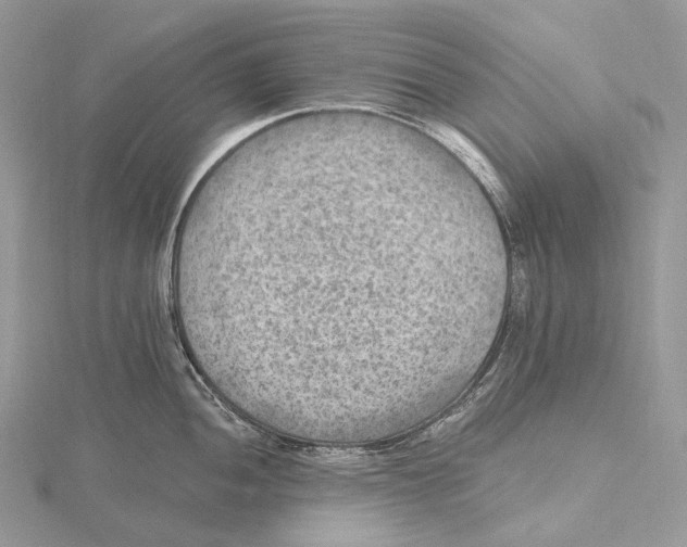 X0000115651052200912081121