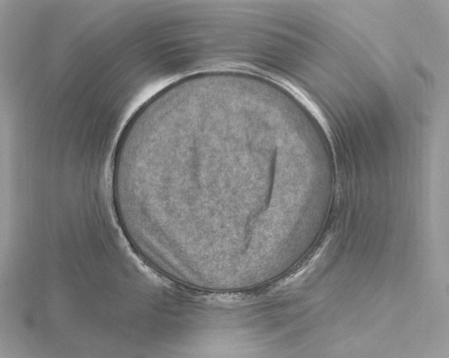 X0000115651053200912081121