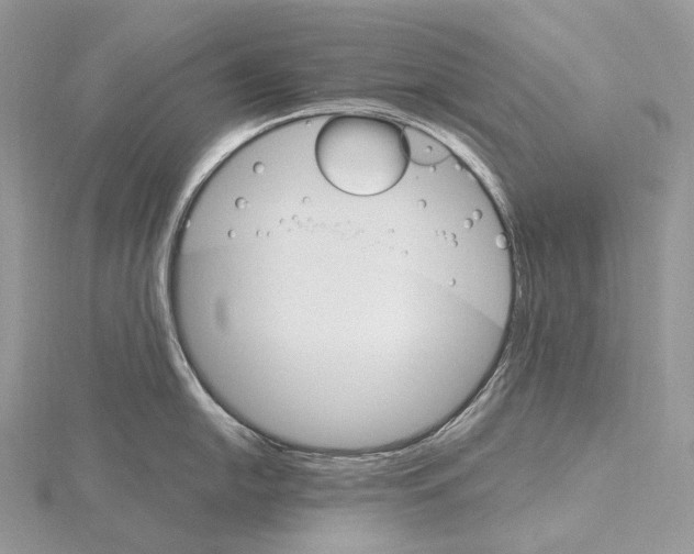 X0000115651054200912081121