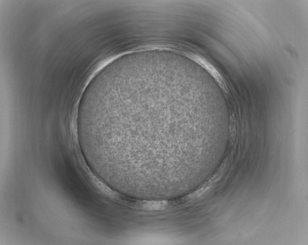 X0000115651055200912081121