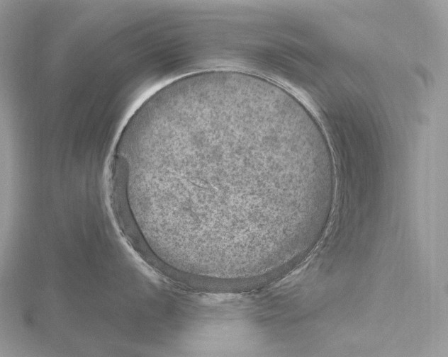 X0000115651056200912081121