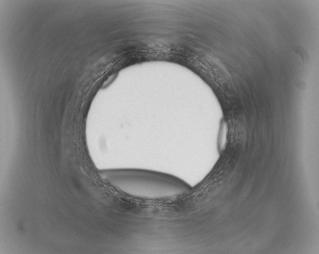 X0000115651057200912081120