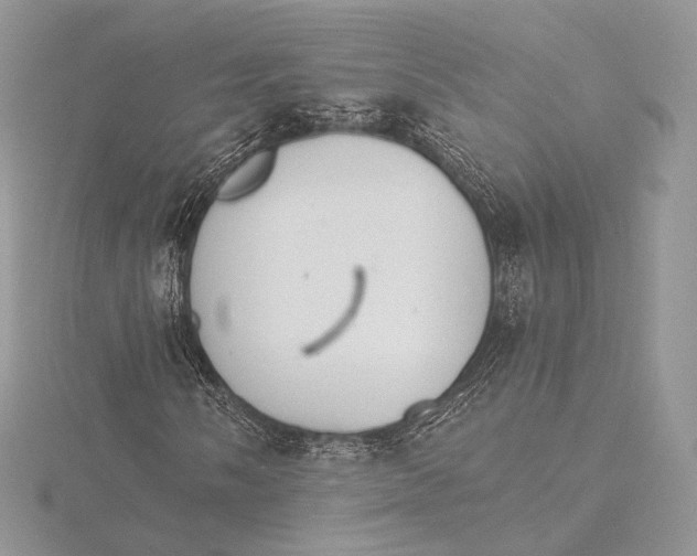 X0000115651058200912081120