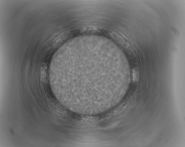 X0000115651059200912081120