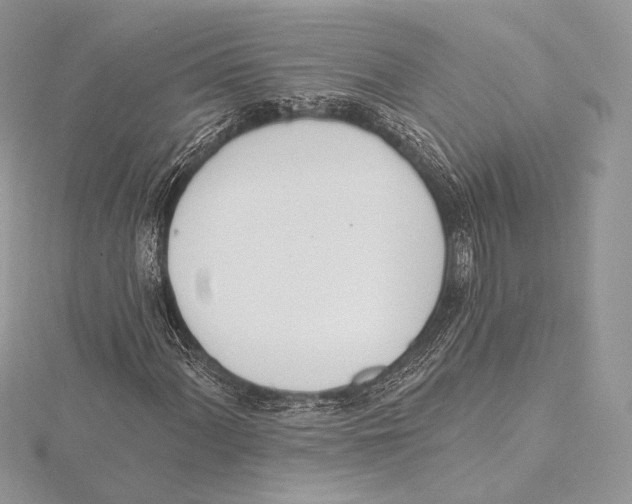 X0000115651060200912081120