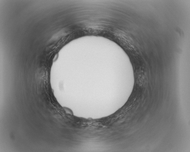 X0000115651061200912081120