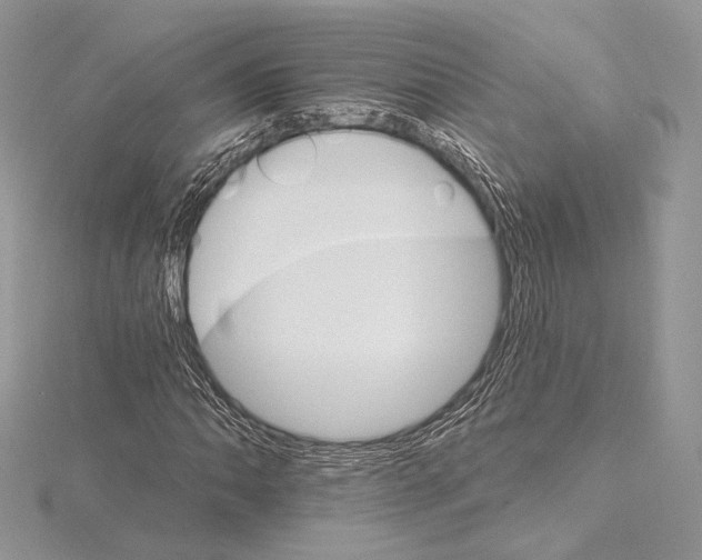 X0000115651062200912081120