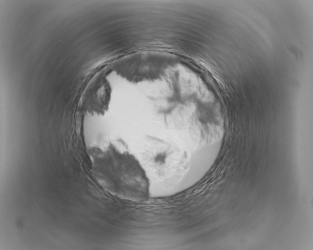 X0000115651063200912081120