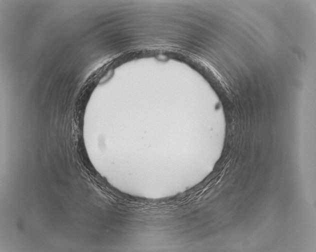 X0000115651064200912081120